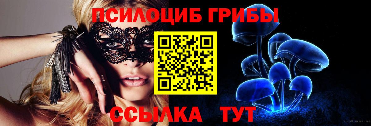 Дубна  купить  цена  Вход с VPN  Галлюциногенные грибы мицелий 